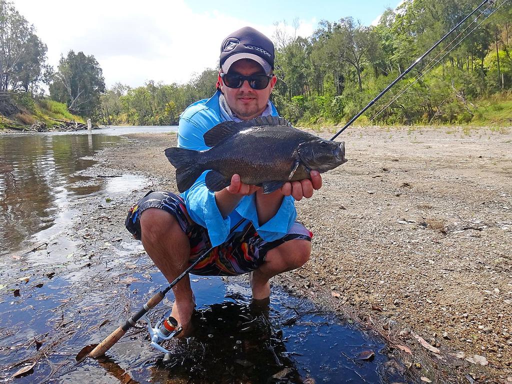 A nice sooty that Lee pulled of the snag pile in the background.  Note the light tackle.  Light spin gear allows long casts with small lures – something that helps avoid spooking pockets of fish in shallow water. © Lee Brake